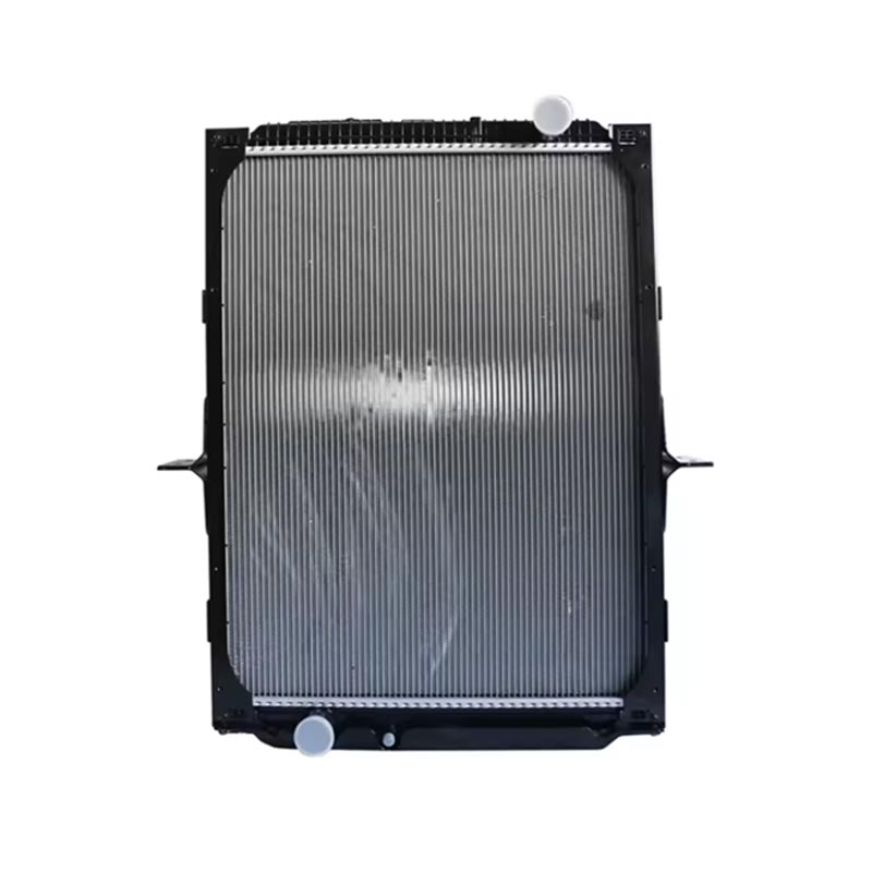 Radiator Aksesori Enjin DZ91125328